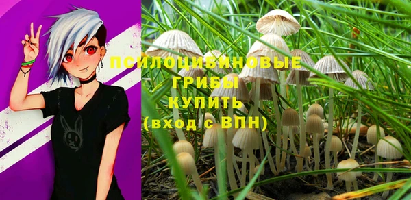 шишки Красноперекопск