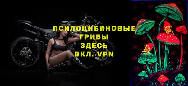 шишки Красноперекопск
