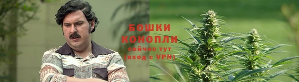 стаф Краснотурьинск