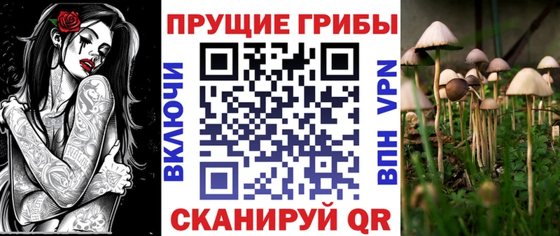 Галлюциногенные грибы мухоморы  Кувшиново 